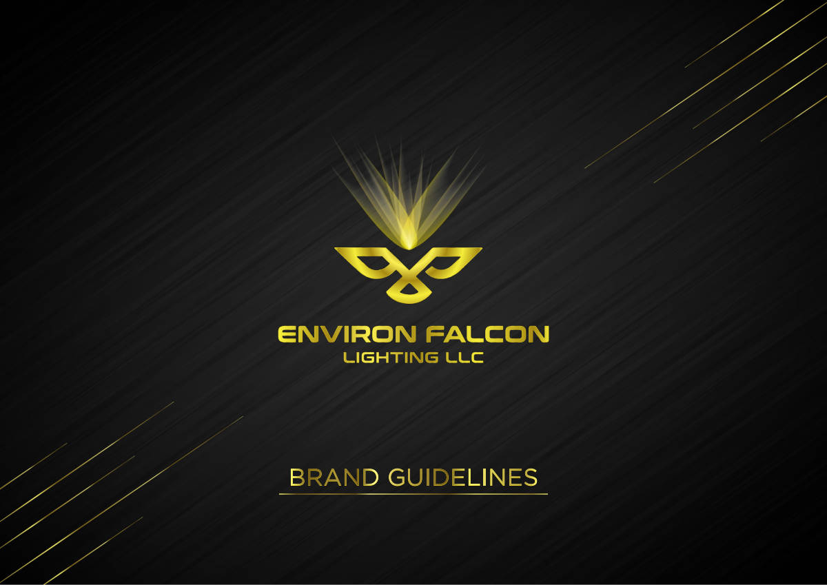 ENVIRON FALCON LIGHTING