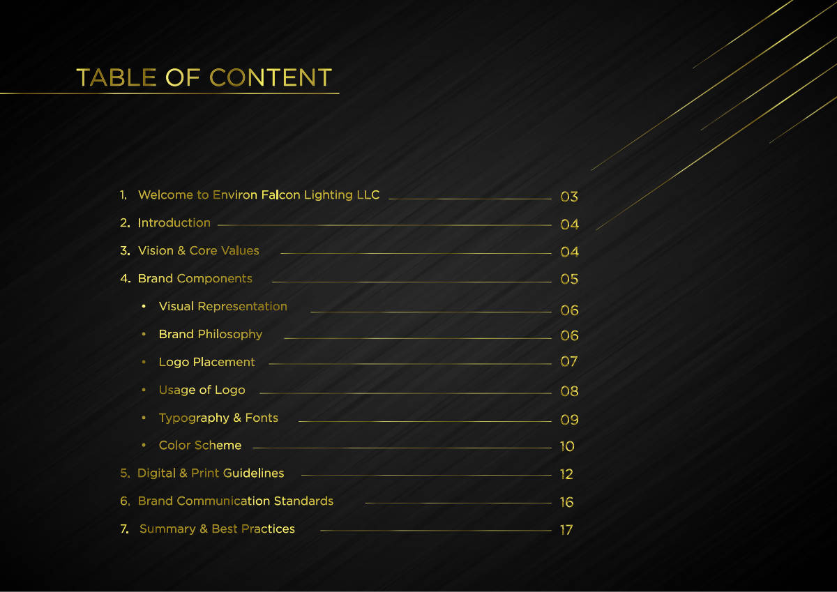 ENVIRON FALCON LIGHTING · Brand guideline page 2