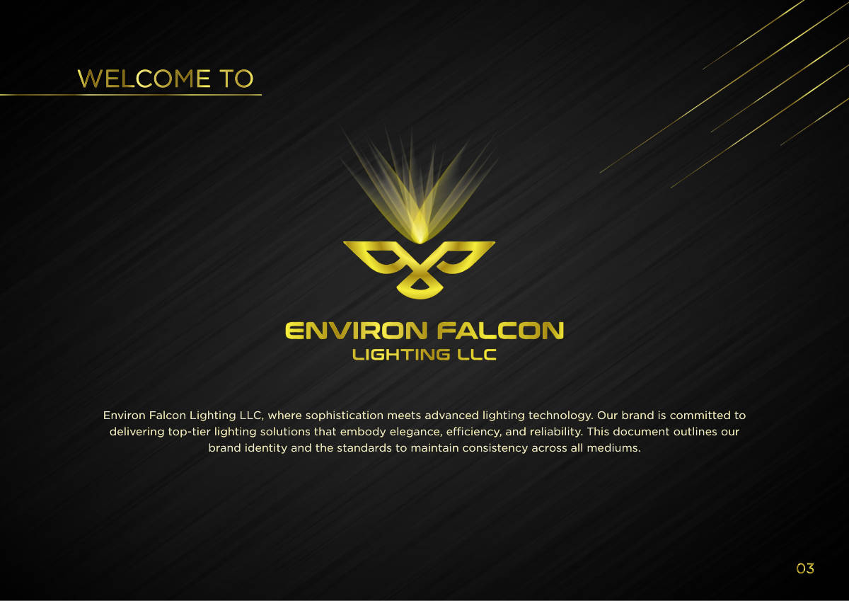 ENVIRON FALCON LIGHTING · Brand guideline page 3