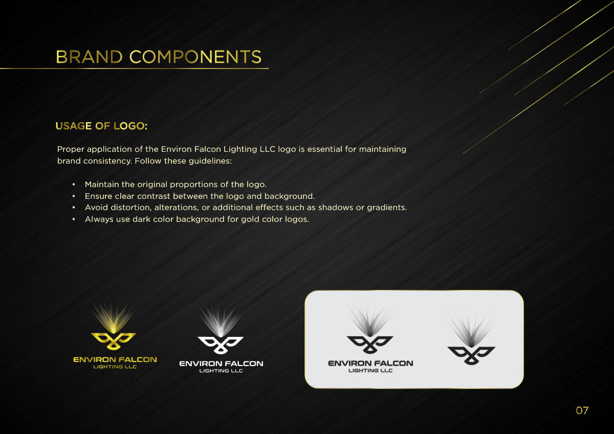 ENVIRON FALCON LIGHTING · Brand guideline page 7