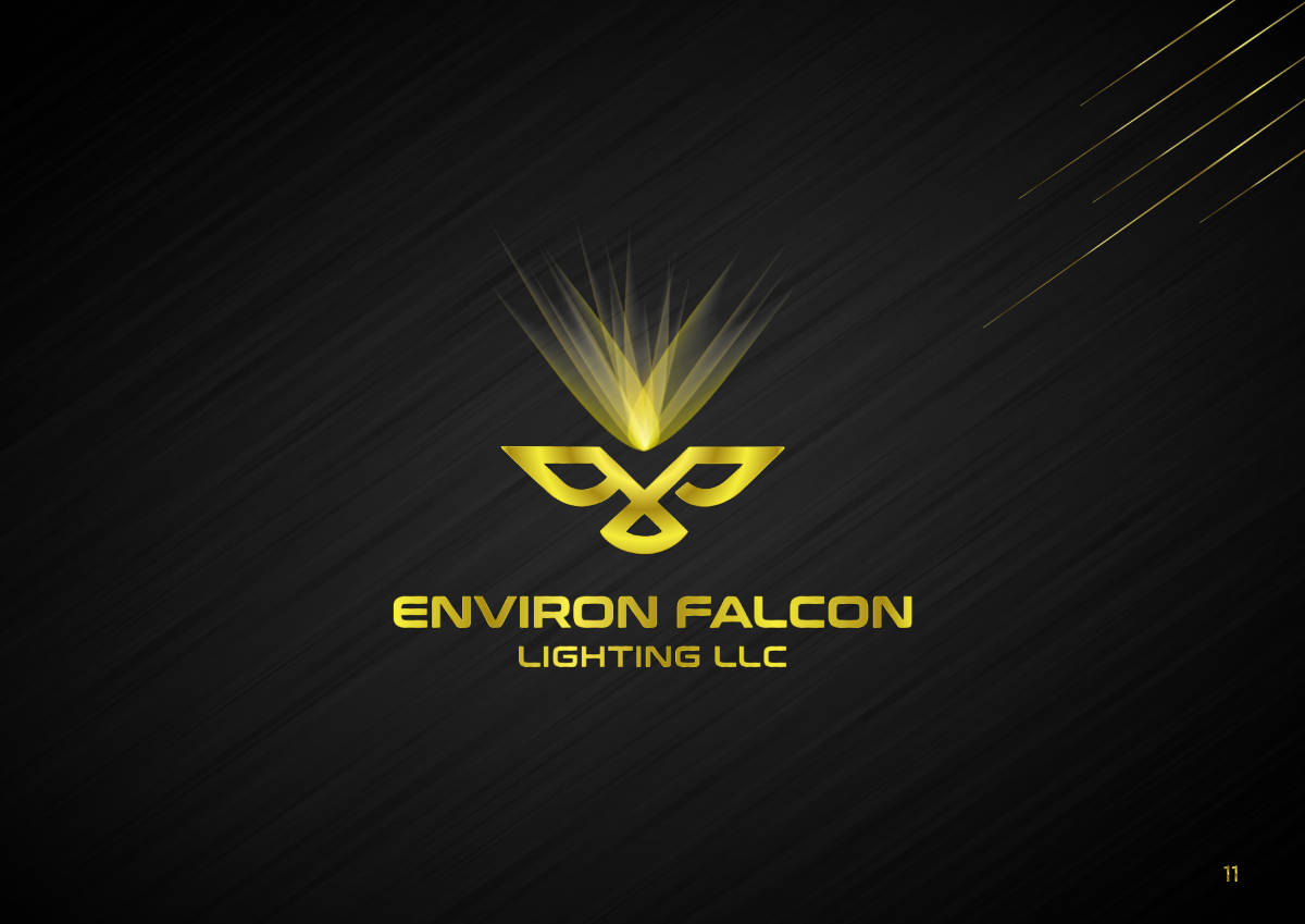 ENVIRON FALCON LIGHTING · Brand guideline page 11