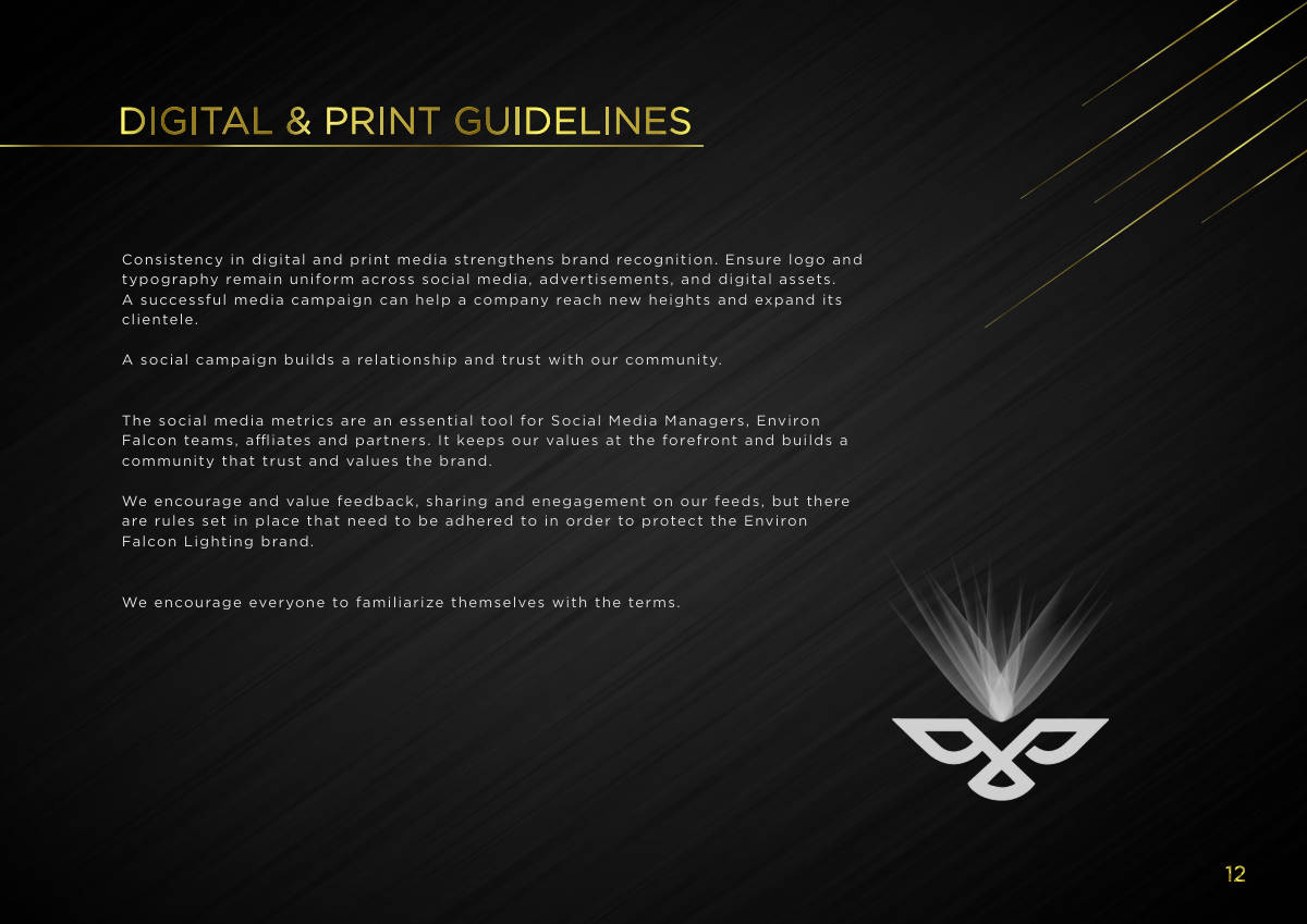 ENVIRON FALCON LIGHTING · Brand guideline page 12