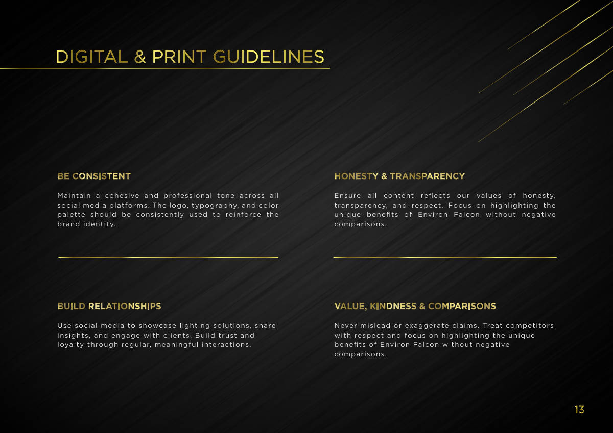 ENVIRON FALCON LIGHTING · Brand guideline page 13