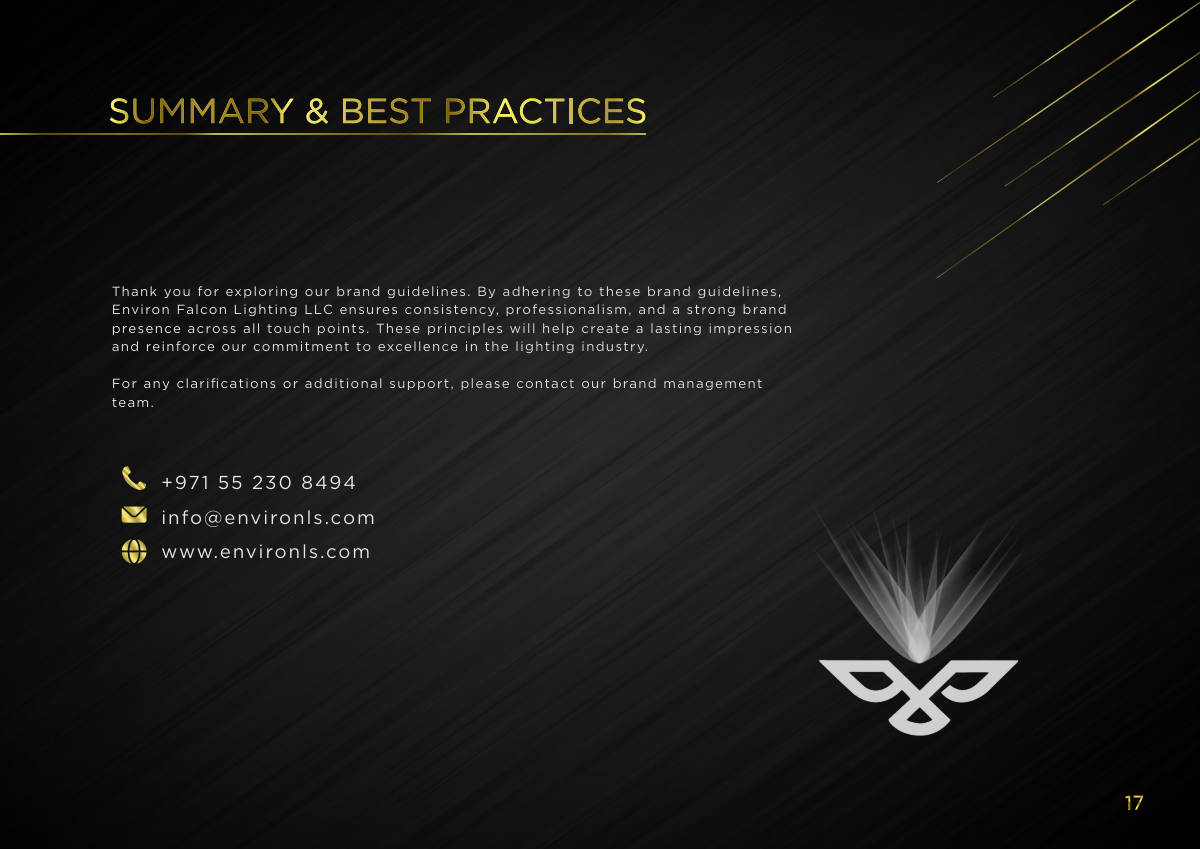 ENVIRON FALCON LIGHTING · Brand guideline page 17