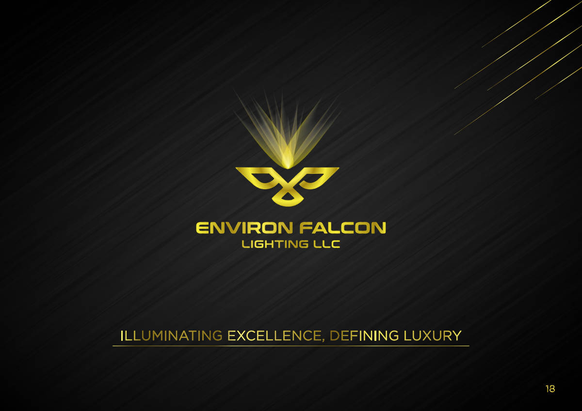 ENVIRON FALCON LIGHTING · Brand guideline page 18