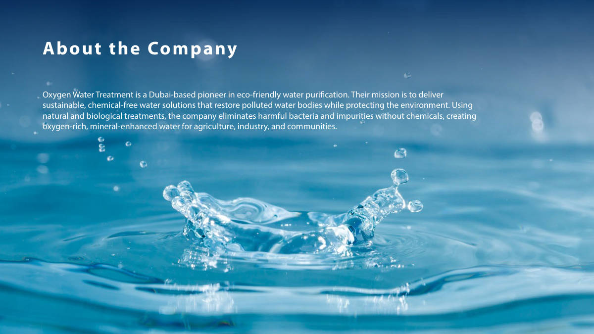 OXYGEN WATER TREATMENT · Brand guideline page 3